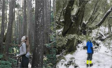 北部中級山探險地圖｜深入台灣山林，挑戰最美稜線與湖泊