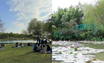 全台名畫景點：奇美博物館、莫內的花園，感受畫作景致與氛圍