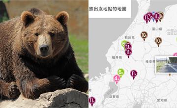 防熊完整指南：遇到熊怎麼辦？熊出沒旅遊地圖、防範攻略一次看！
