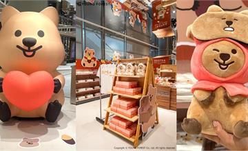 超可愛！短尾矮袋鼠《勾卡KKOTKA快閃店》 12/15 首登 Dream Plaza！70+款交換禮物周邊與2米玩偶萌翻聖誕！