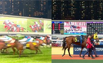 香港新手賽馬攻略｜賽馬玩法、投注方式、賽馬場推薦一次看