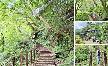 馬胎古道：新竹秘境超夯步道～彷彿闖進侏羅紀公園，走獨木橋超有感～