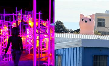 2026全台1月活動推薦！花季、燈節、溫泉季，開啟嶄新的一年！