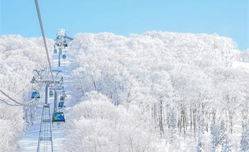 9個日本秋田冬季景點、溫泉住宿推薦：樹冰、粉雪、秘湯一次收！