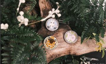 橡子共和國10週年活動熱鬧開跑！限定滿額禮、新品一次看