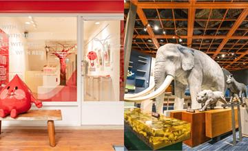 全台16間人氣場館推薦！美術館、博物館，特色室內景點必收