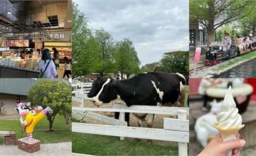 雲林免門票親子景點推薦：千巧谷牛樂園牧場，快來餵牛、搭小火車！