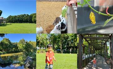 帶孩子到大自然玩！新北準休閒農場提供生態體驗、DIY手作等豐富活動