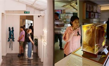 全球怪奇博物館10選｜世界千奇百怪，博物館展品才能見怪不怪