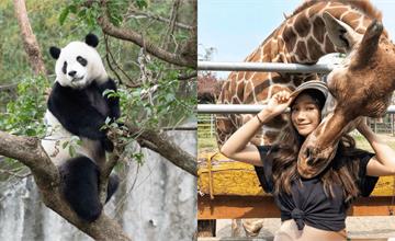 全台動物園推薦：10大必去！水豚、樹懶近距離互動，門票地圖一次收