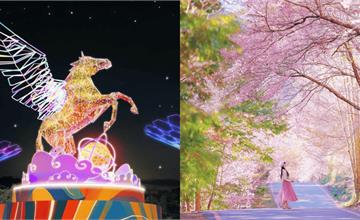 2026全台3月活動懶人包：元宵節燈會、櫻花季、大港開唱熱血登場！