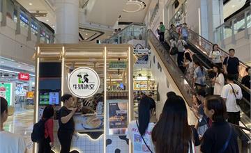 牛奶冰室（黃大仙）：港人最愛早午餐～必點奶醬多士、熱鴛鴦