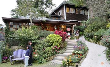 隱身苗栗山間童話小屋：南庄橄欖樹咖啡民宿，貓咪環繞超療癒！