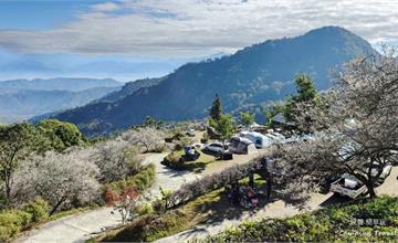 二十八路露營區：南投梅花露營地，順遊九尖茶廠一路賞花，露友必衝！