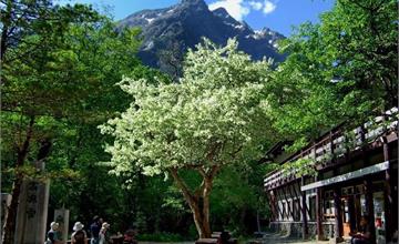 日本長野「上高地 明神館」百年歷史秘境旅宿4/25新開幕！