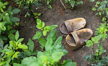 第14屆台北雙年展3/29閉幕，大型表演《斜坡研究》壓軸登場！