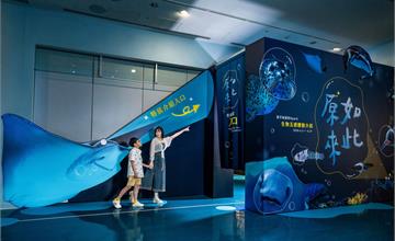 Xpark春季限定探索海洋世界！活動亮點、資訊、優惠一次看