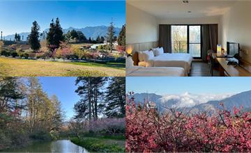 台中高山櫻花海爆發！入住福壽山農場，探訪春天美景，享受群山環抱