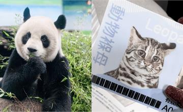 臺北市立動物園攻略：門票交通、園區地圖、認養計畫、夜間開放特色玩法一次看！