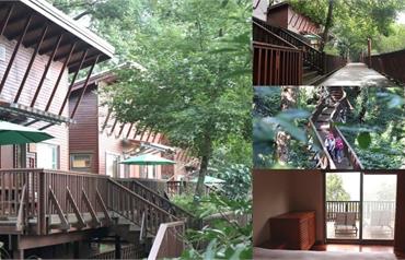 南投｜鳳凰・森之鳴：一泊二食綠建築木屋開箱！獨享鳳凰谷夢幻霧屋仙境