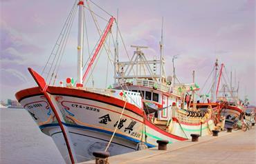 興達港觀光漁市：高雄在地人激推必朝聖！採購新鮮漁獲＆獵奇海味小吃