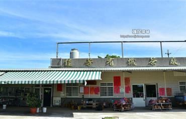 台東佳芳有機茶廠：手採、揉捻、職人魂，一日茶農深度體驗