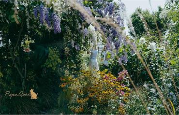 走進彰化田尾秘境，香久園彷彿台版小莫內花園，一年只開放一次！