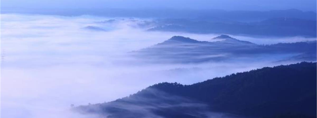 新手賞雲海步道