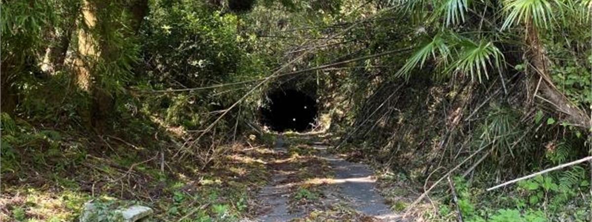 台北小百岳