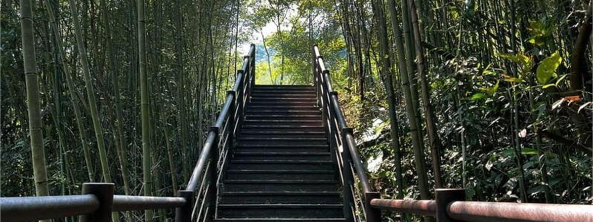 桃園步道