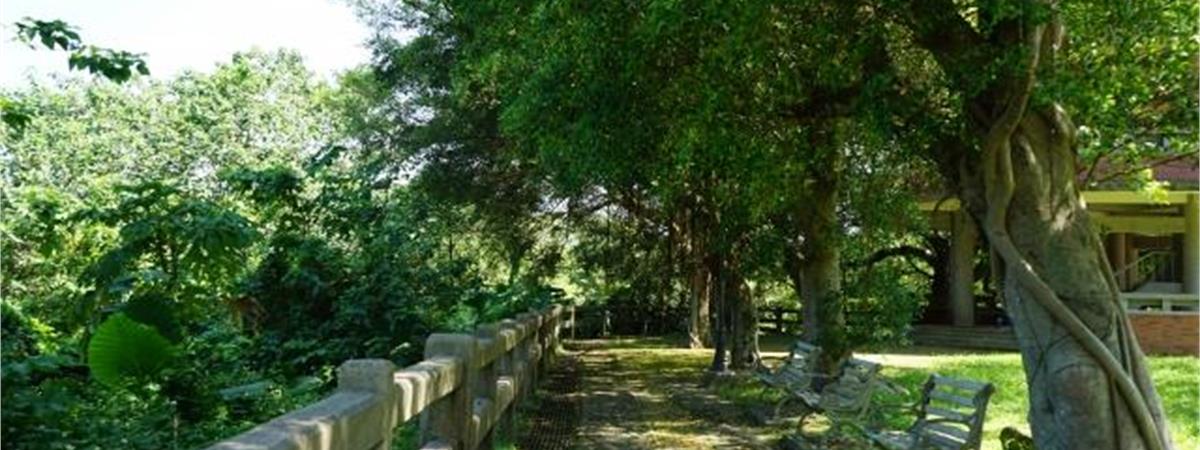 桃園小百岳