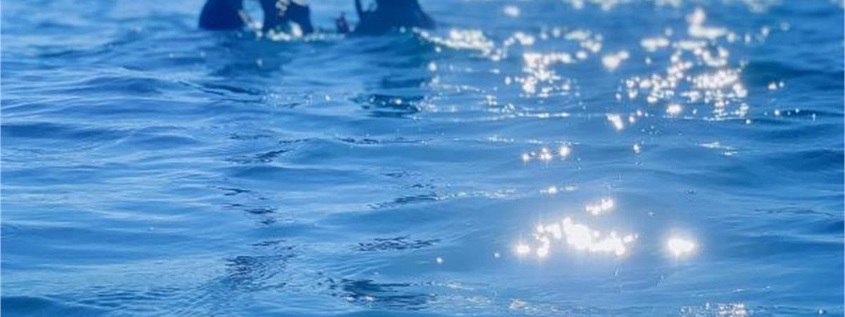 澎湖浮潛推薦