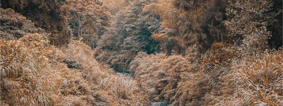 南投秘境步道