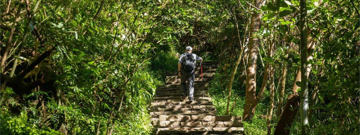 雙北挑戰腳力步道