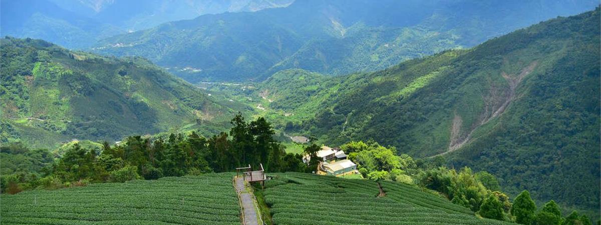 嘉義梅山必去景點