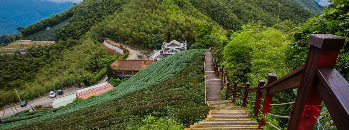 全台茶園景觀餐廳