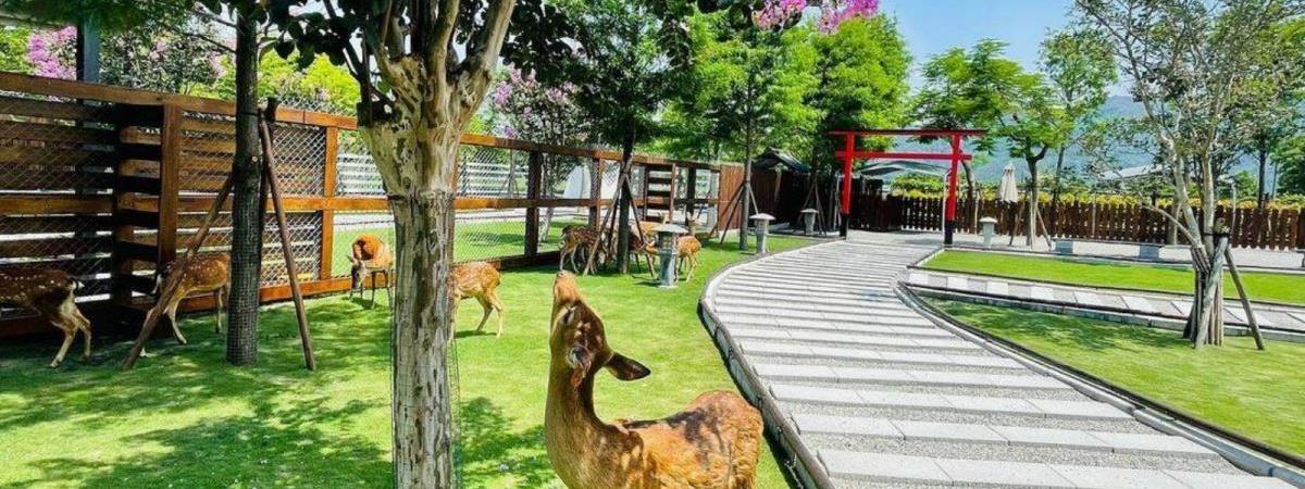 親子放電出遊趣